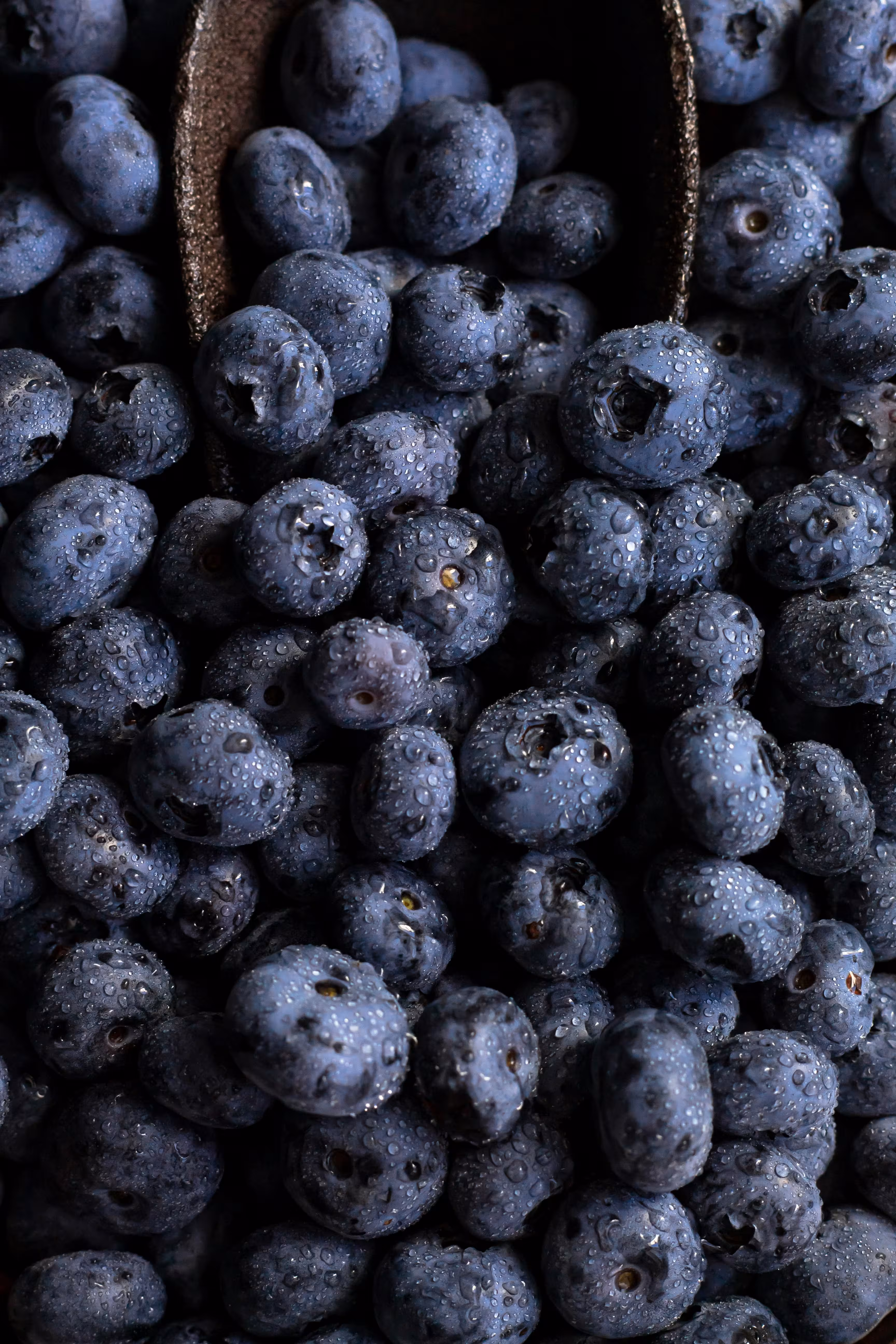 Group of fresh blueberries