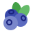 Blueberry logo